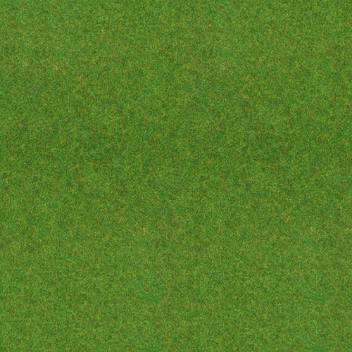 Textured Grass Sheet